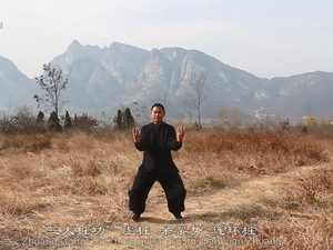 Three Major "Zhuang Gong"